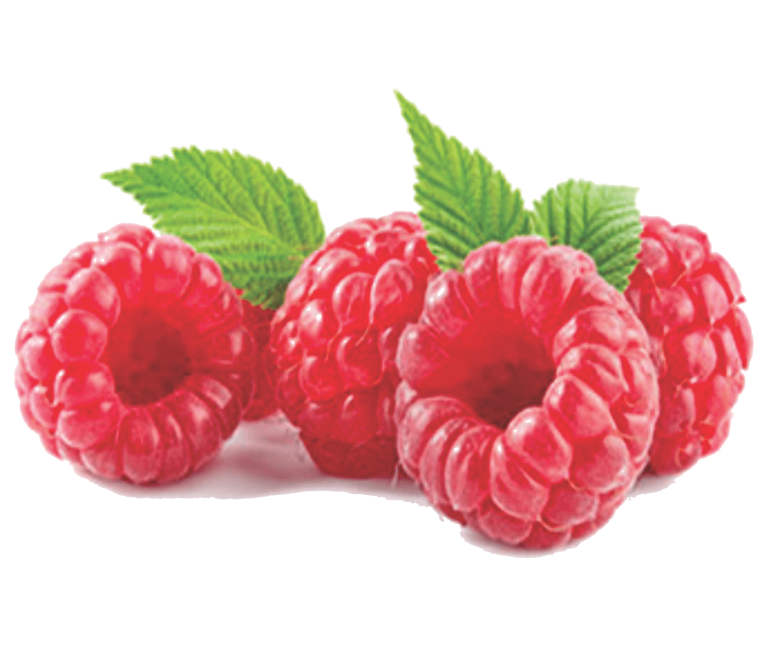 Малина 3в картинки на белом фоне