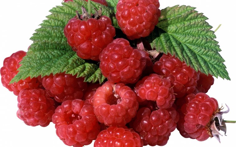 Малина куст