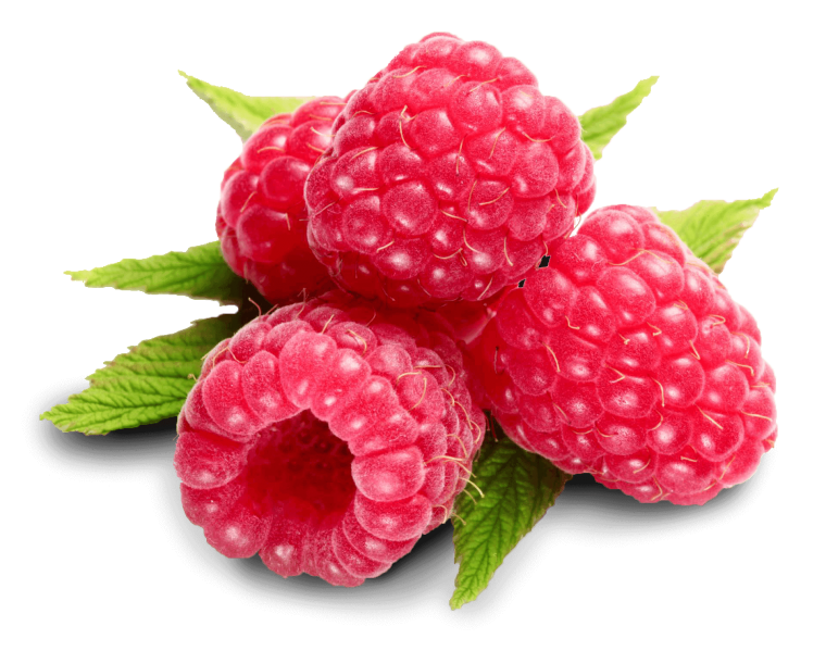 Голубая малина golubika