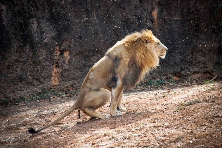 Нервный мультяшка