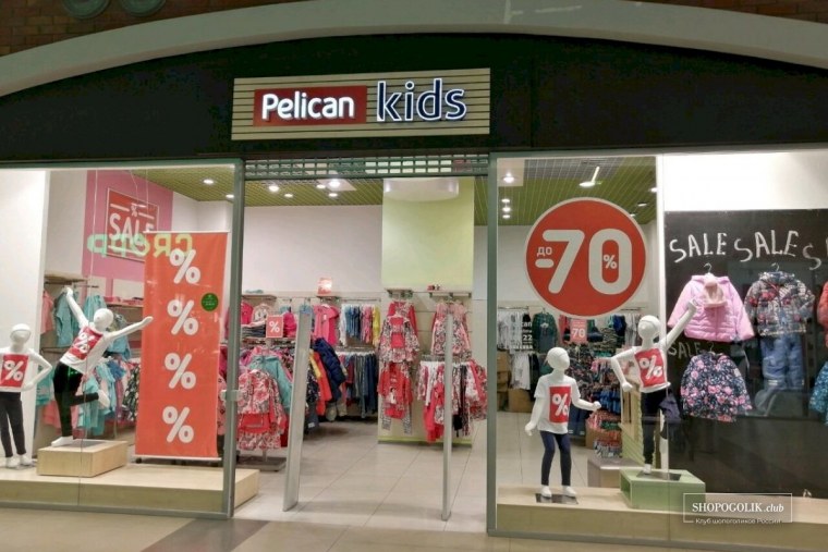 Мультяшный Пеликан летит