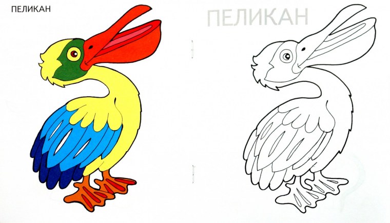 Пеликан для детей на прозрачном фоне