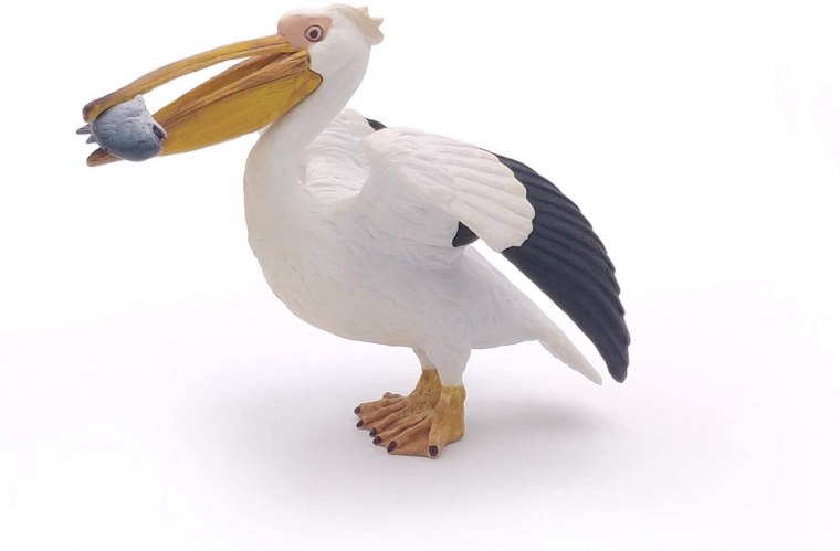 Рыба Пеликан