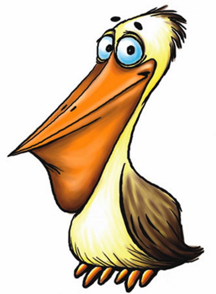 Пеликаны мультяшные