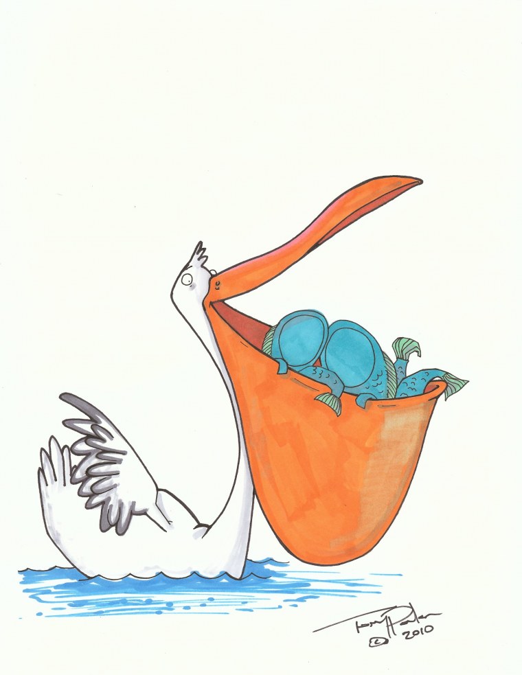 Розовый Пеликан рисунок