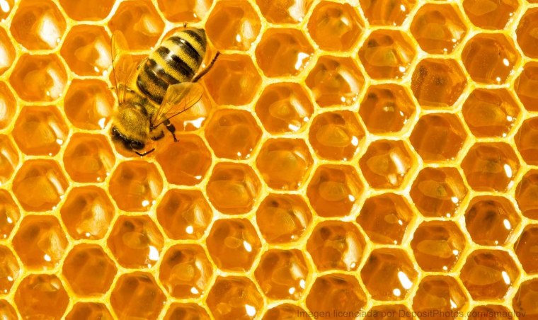 Пчелиные соты шестиугольные