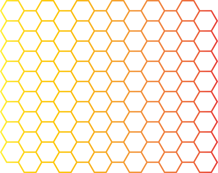 Соты пчелиные вектор