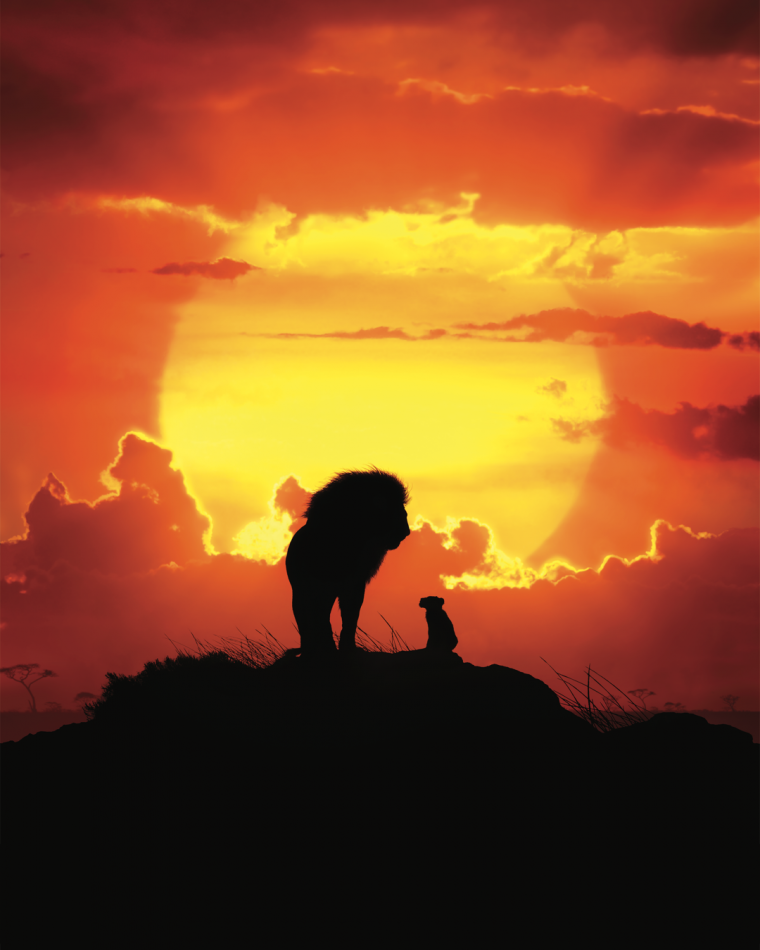 Симба на закате