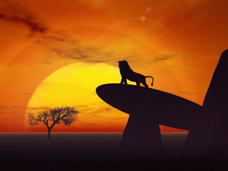 Лев на закате