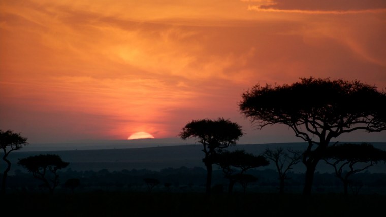 Король Лев Саванна