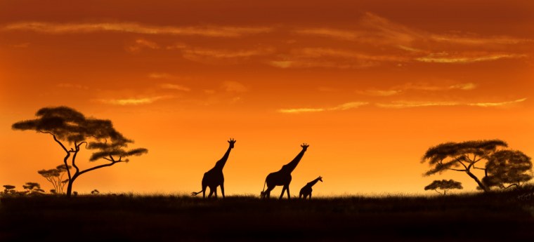 Король Лев 2019 Муфаса и Симба