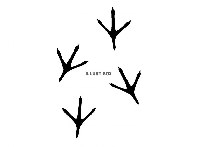 Следы вороны