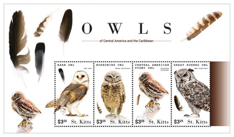 Отпечаток кроличьей лапки