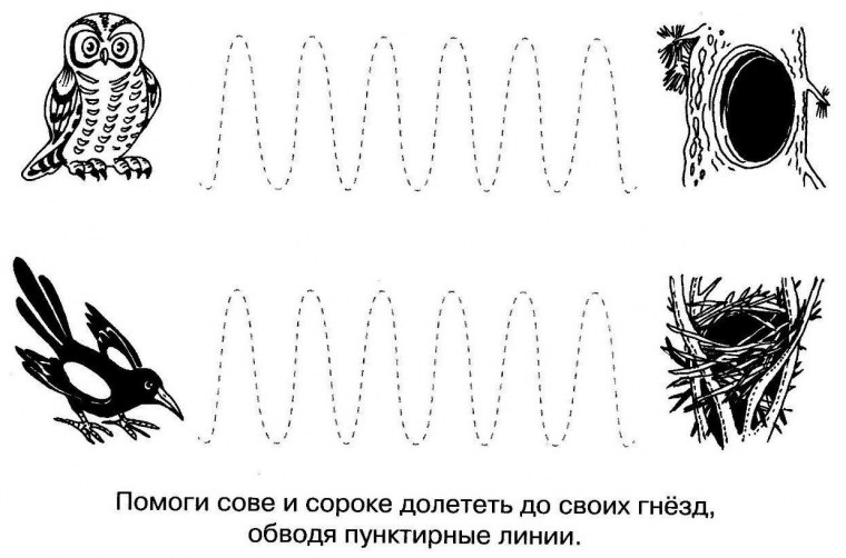 Следы полевки на снегу