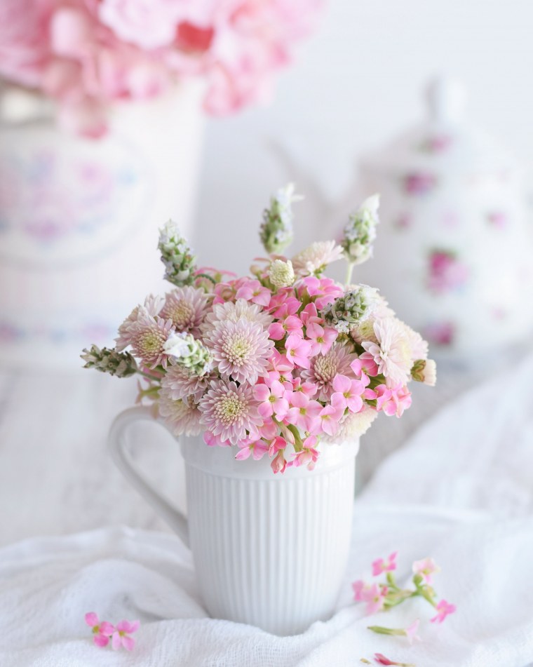 Цветы красивые нежные