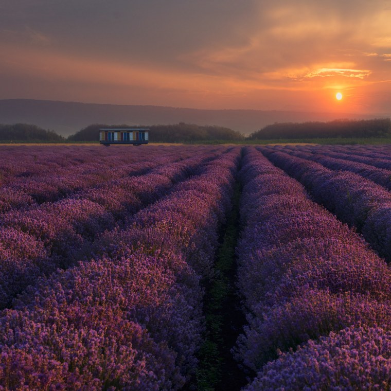 Долина Лефкадия Лавандовые поля