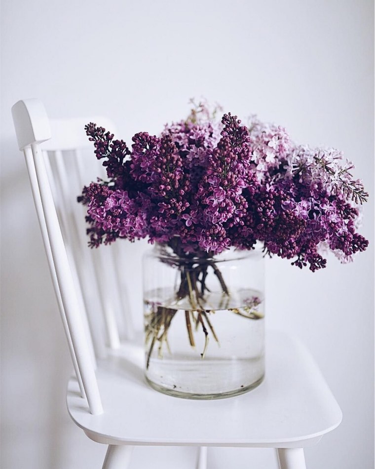 Эстетичная сирень