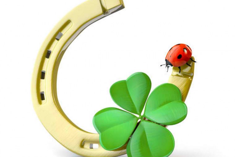 Подкова Клевер и Божья коровка