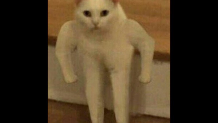 Егор Съедин Сергеевич