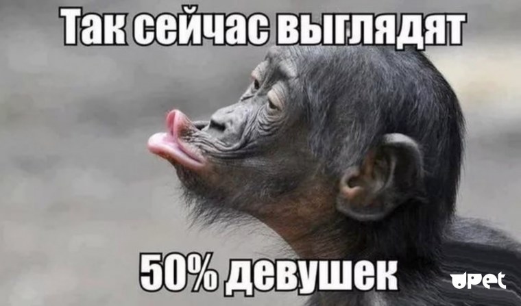 Смешные обезьянки