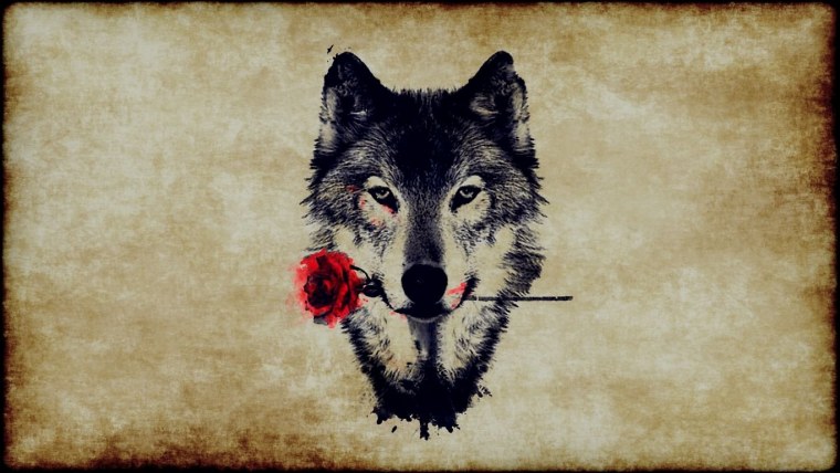 Волк с розой в зубах