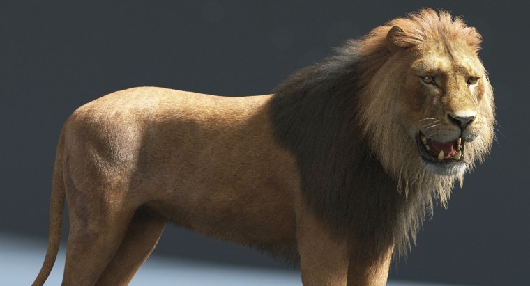 Смешное чучело Льва