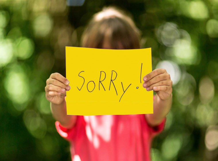 Sorry красивая картинка