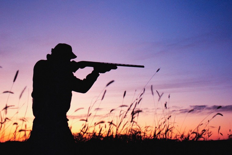 Картина охотник с собакой