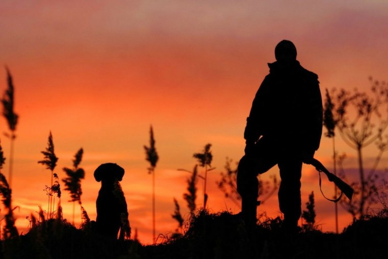 Фон рабочего стола охота