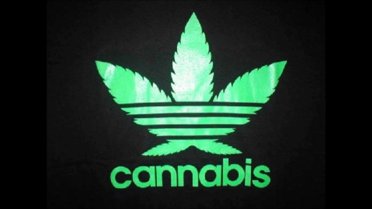 Адидас конопляный лист