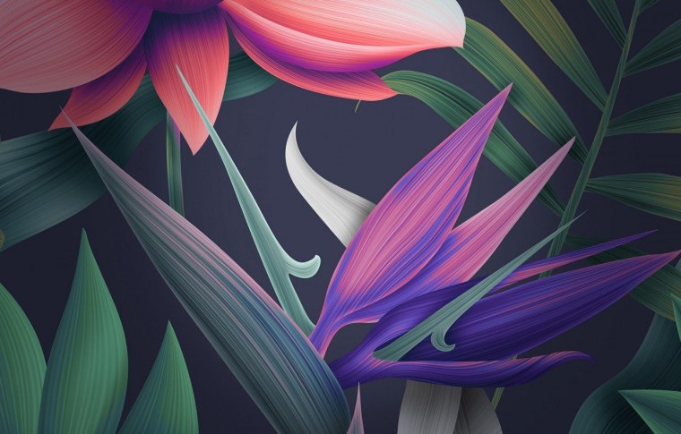 Фон для Хуавей