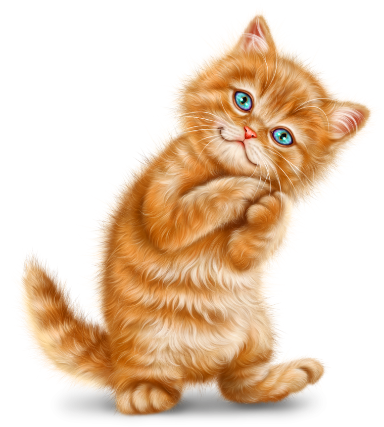Рыжий кот рисунок
