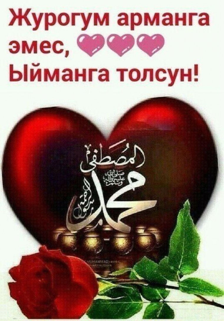 Журок картинка