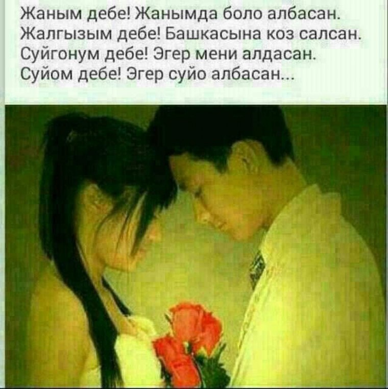 Сени суйом ырлар