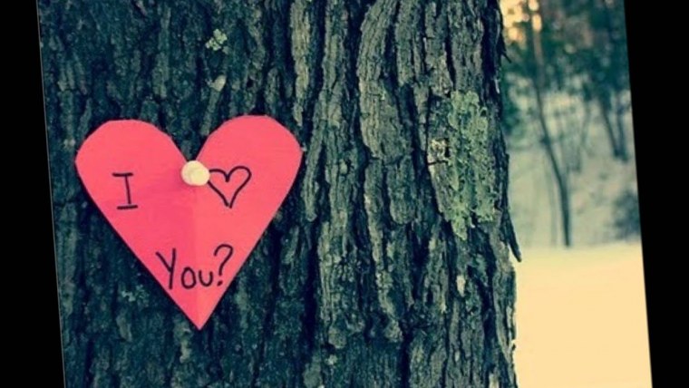 Коштошуу лирика