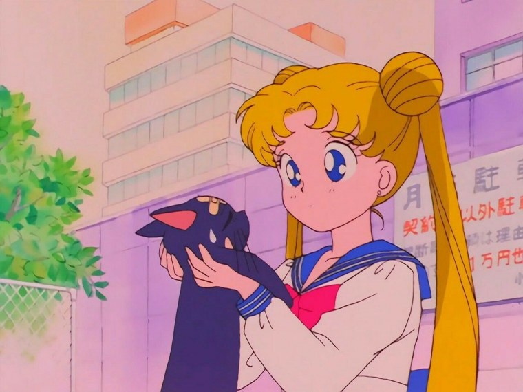 Усаги Цукино 1992