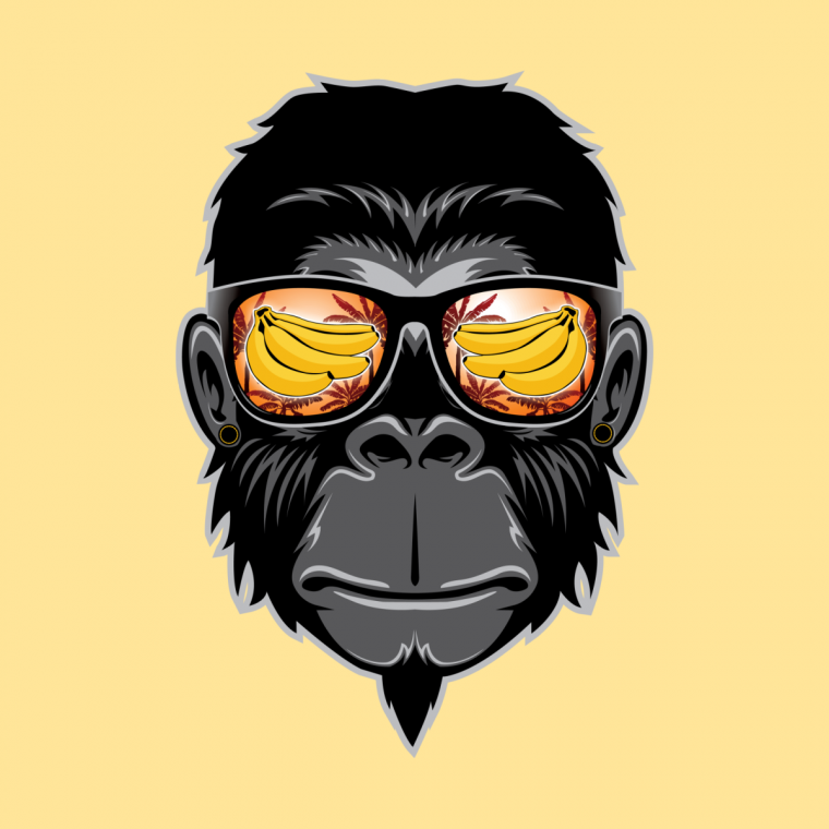 Горилла в очках