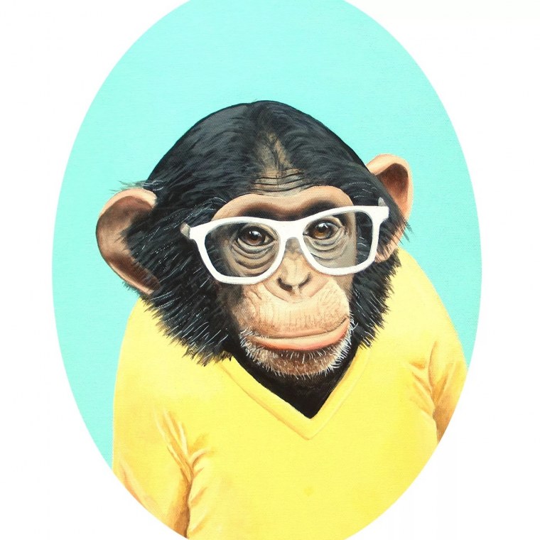 Шимпанзе в очках