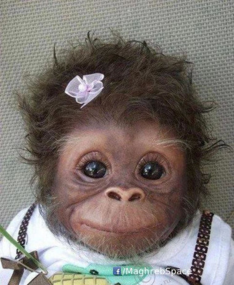 Обезьянка с бантиком