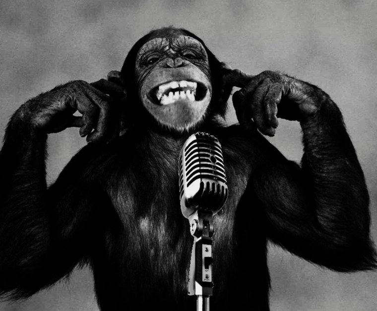 Мартышка с микрофоном