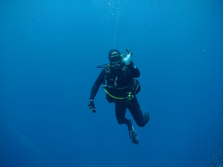 Белое море дайвинг