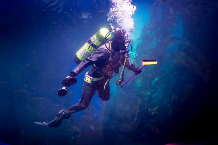 Море дайвер акваланг