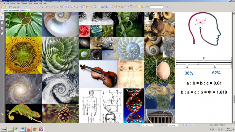 Спираль Фибоначчи