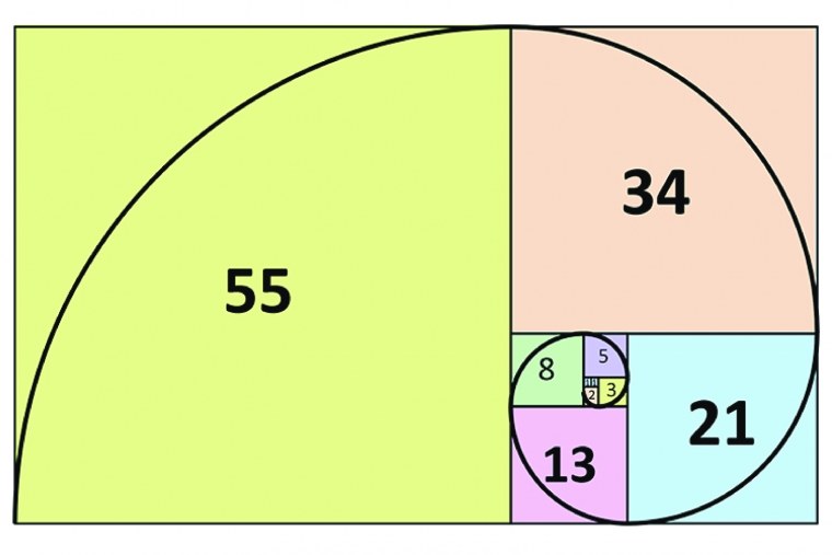 Спираль жизни