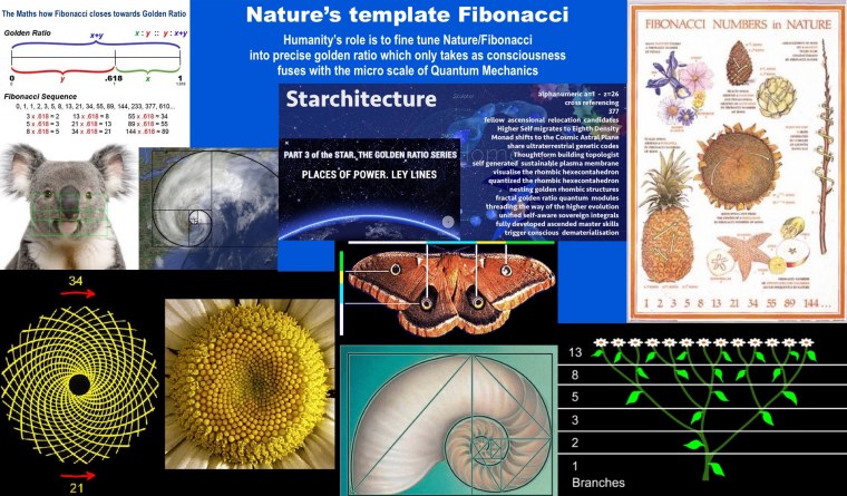 Связь геометрии и природы