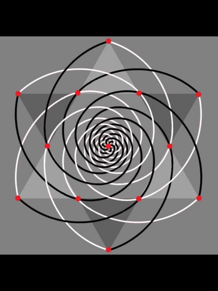 Золотая спираль спираль Фибоначчи