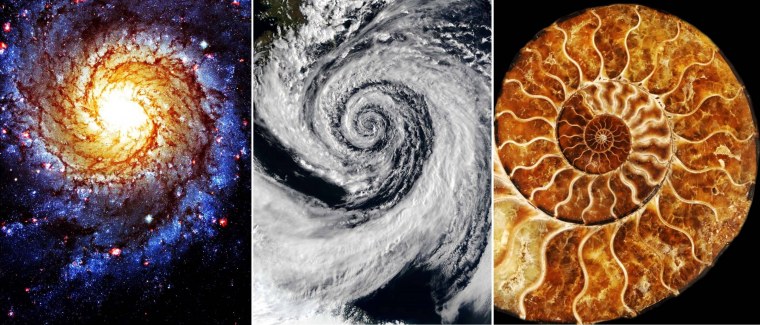 Сакральная геометрия в природе