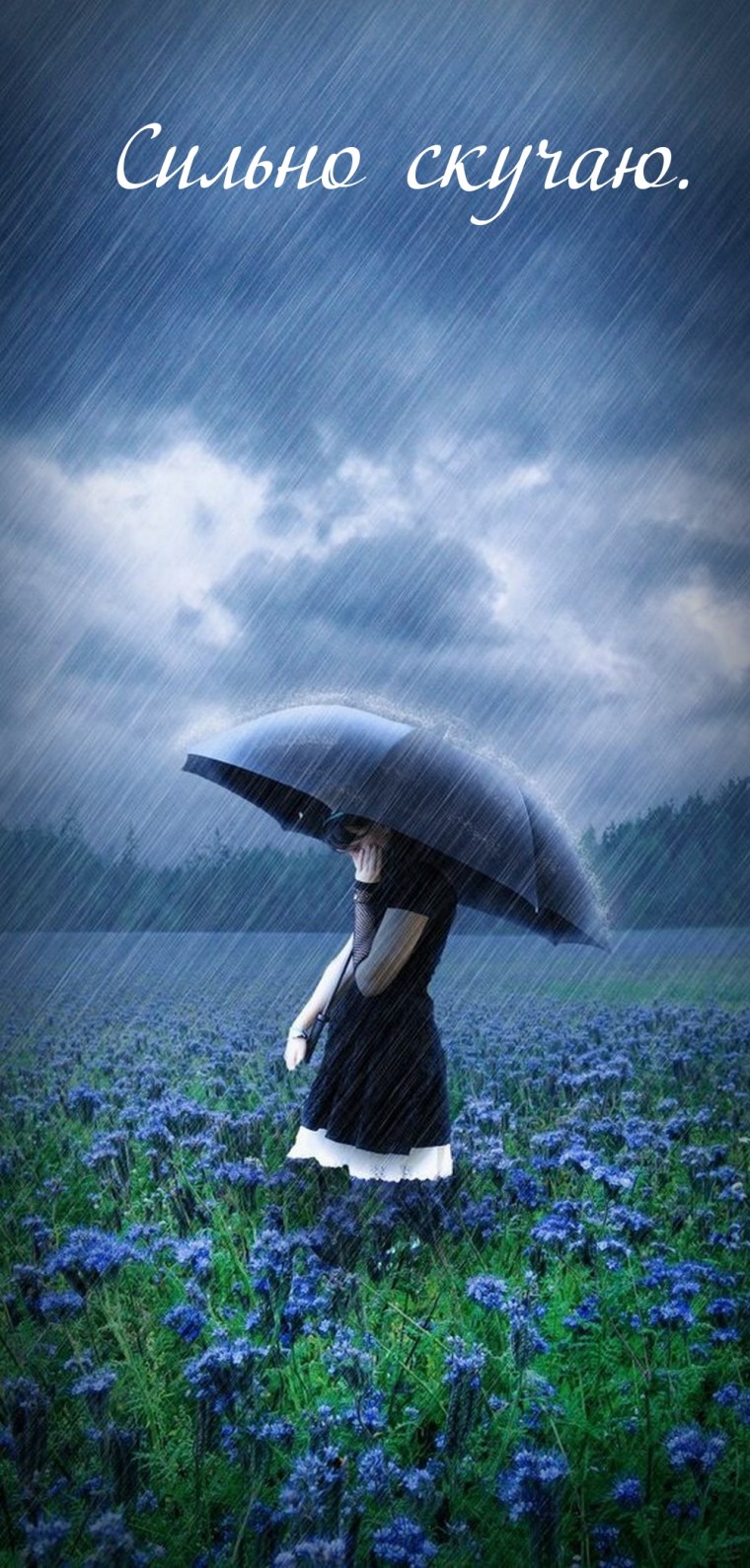 Фиолетовые капли