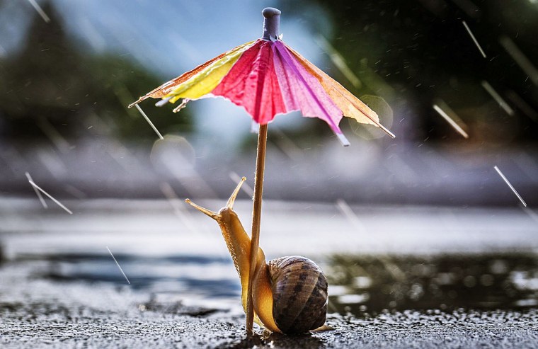 Летний дождь