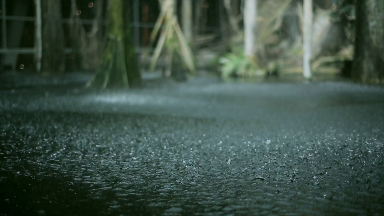 Девушка с красным зонтом